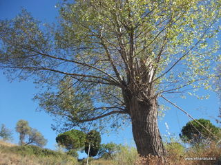 Torrente Caliero